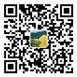 百姓彩票在线官网